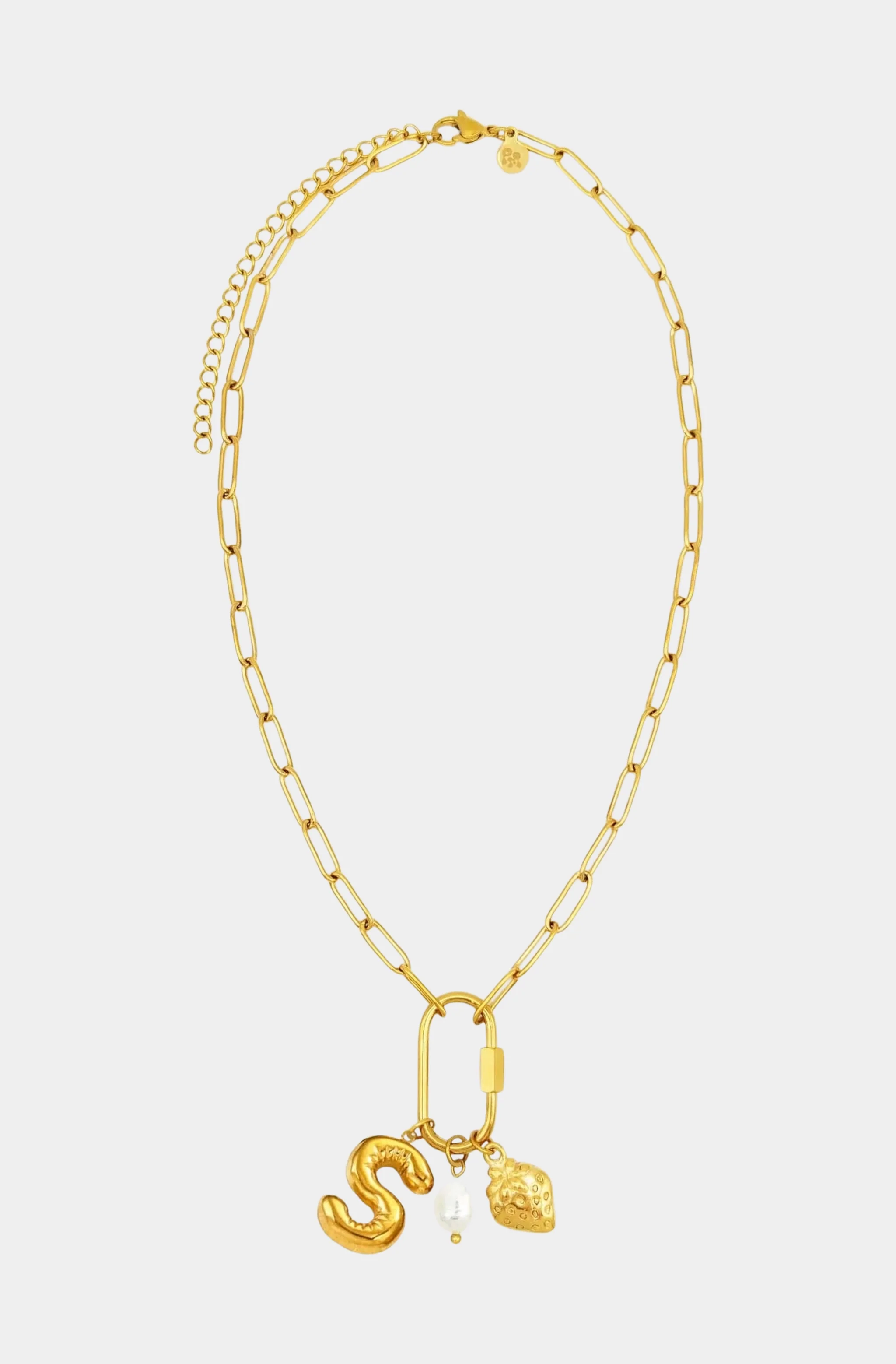 Carabiner Initial Charm Necklace - Image 11