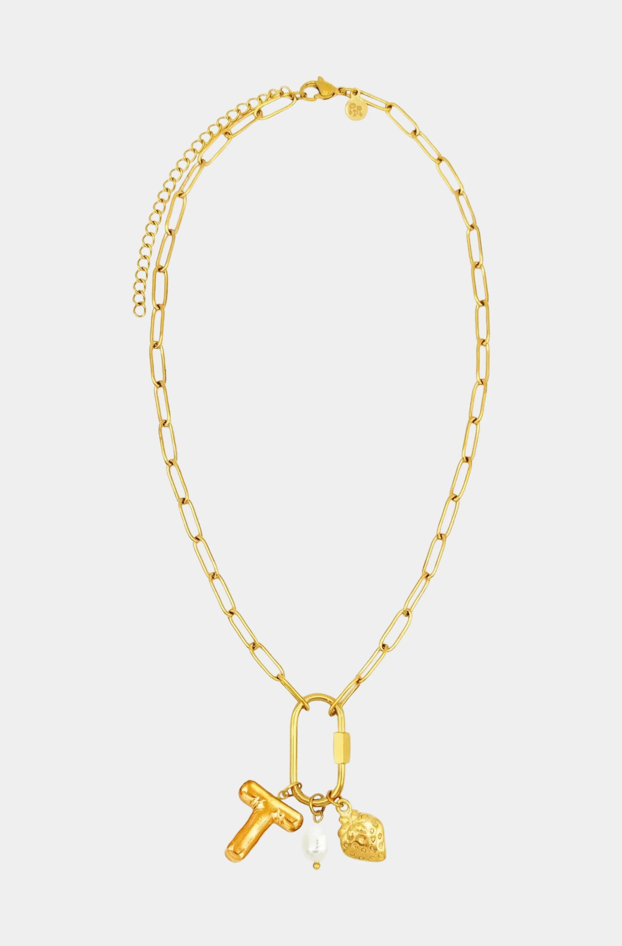 Carabiner Initial Charm Necklace - Image 12