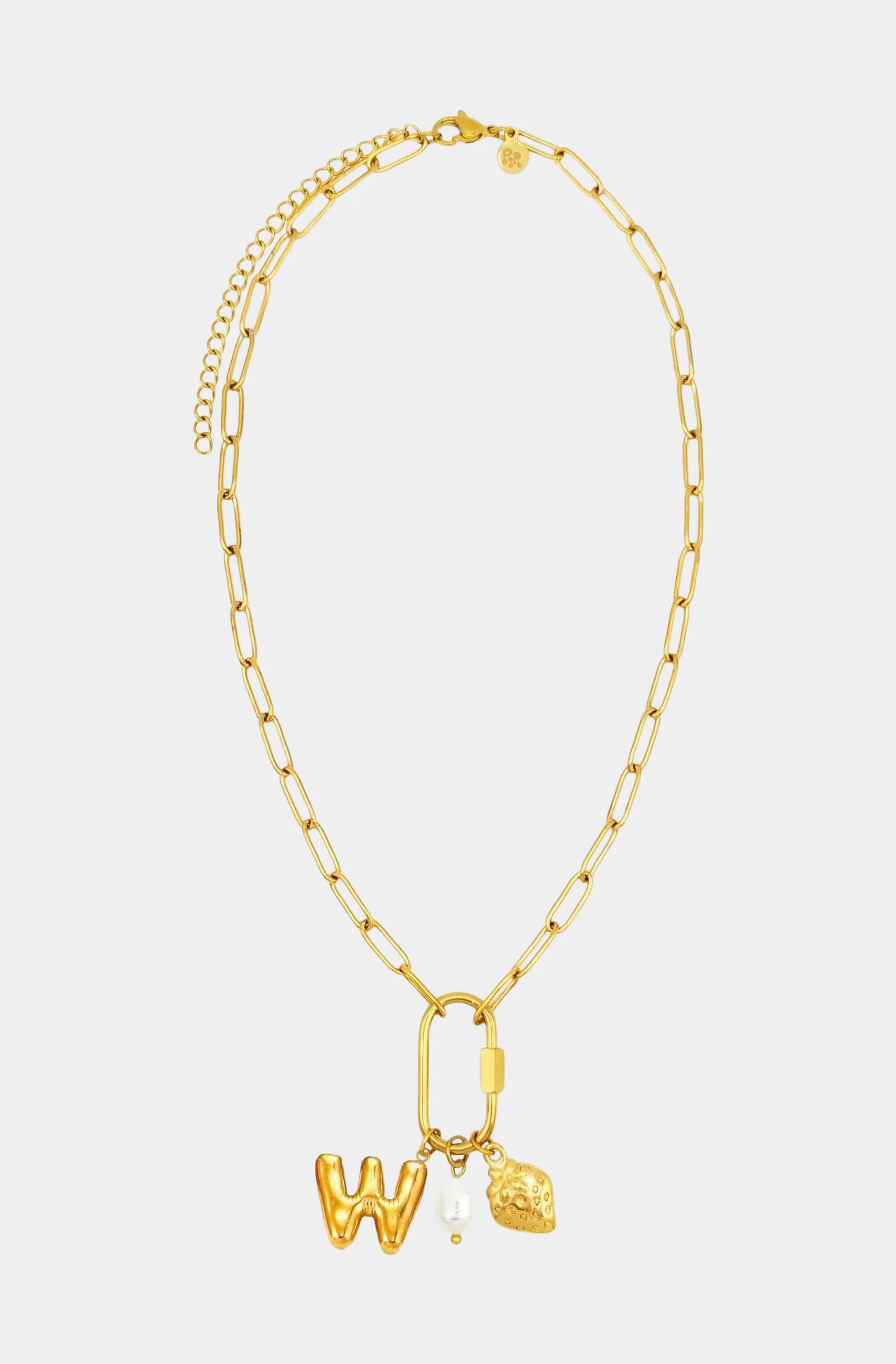 Carabiner Initial Charm Necklace - Image 13