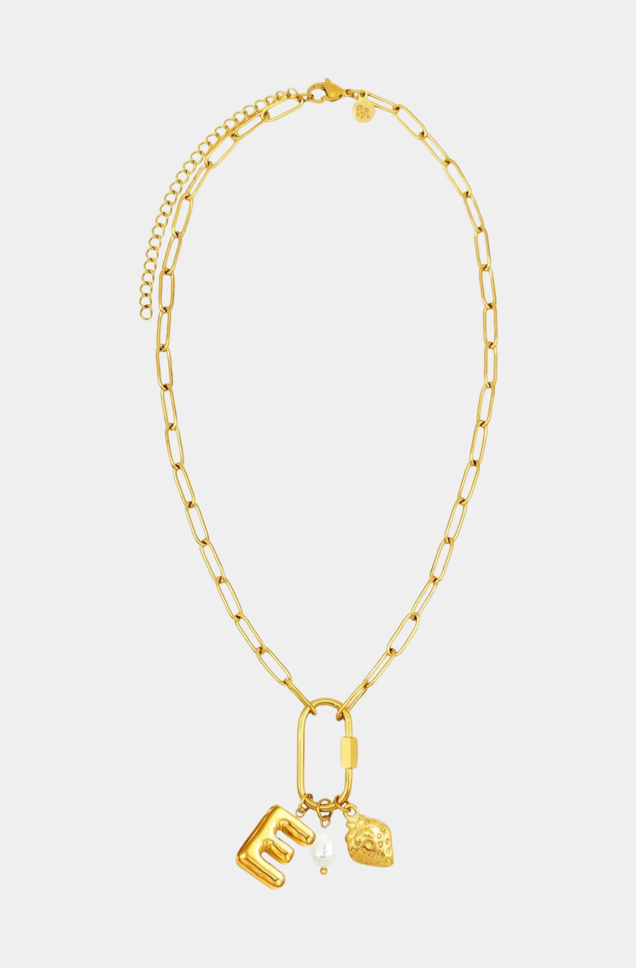 Carabiner Initial Charm Necklace - Image 5