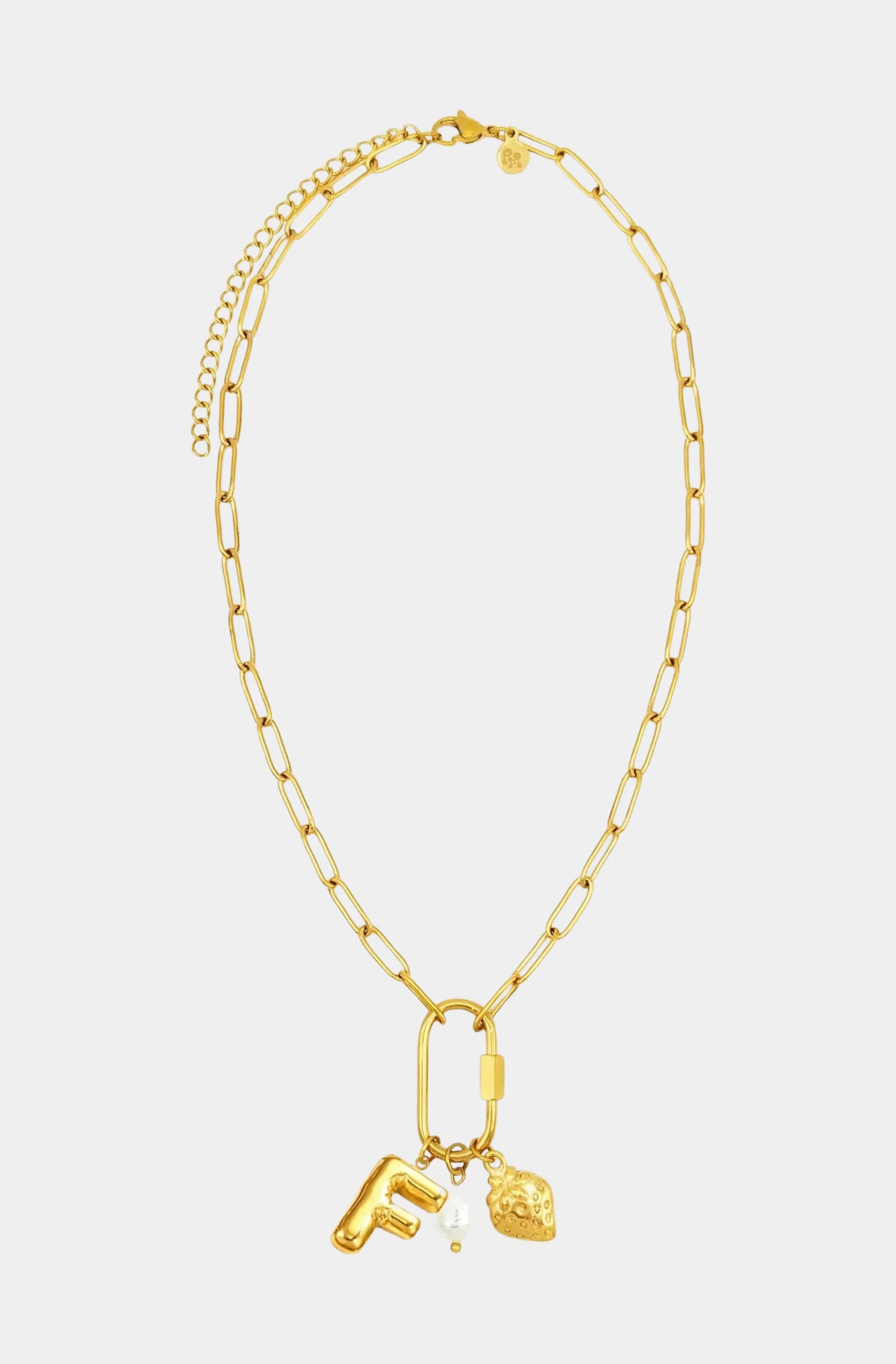 Carabiner Initial Charm Necklace - Image 6